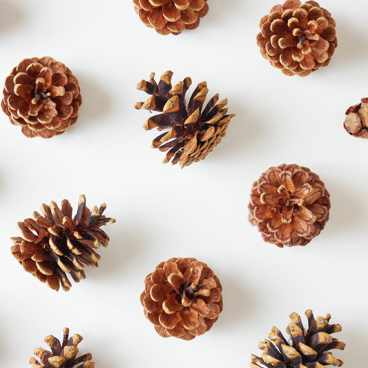 DIY Cinnamon Scented Pinecones